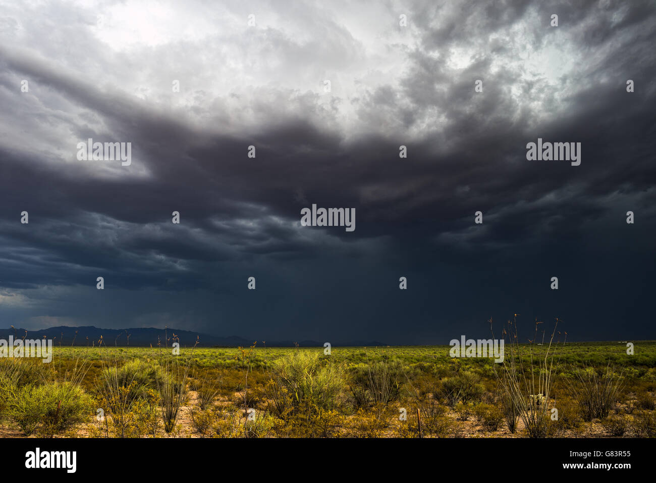 Potente tempesta monsonica con nuvole scure nel deserto di sonora vicino a Kitt Peak, Arizona Foto Stock