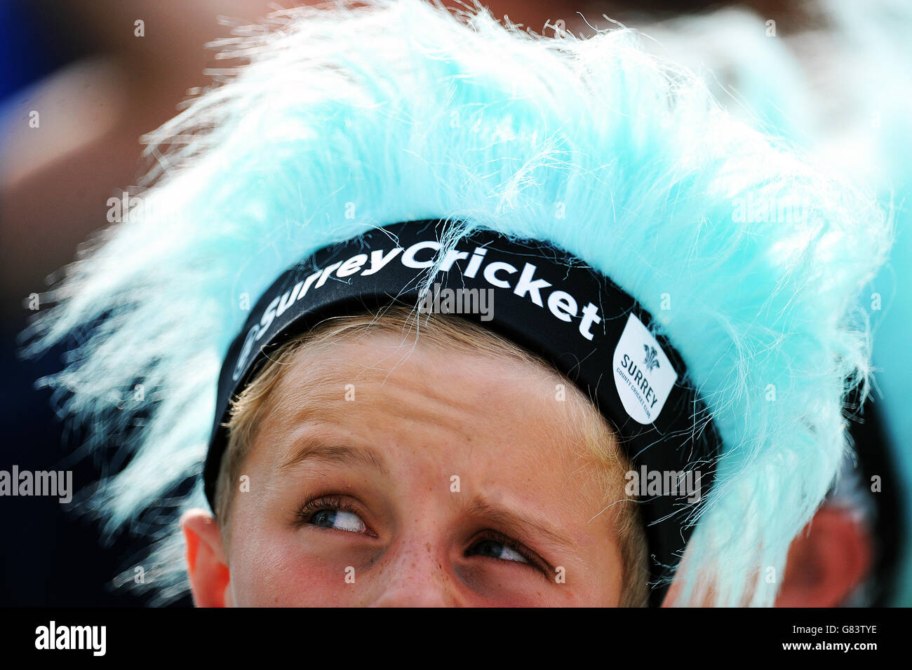 Dettaglio di una giovane bretella di fissaggio con marchio Surrey Foto Stock