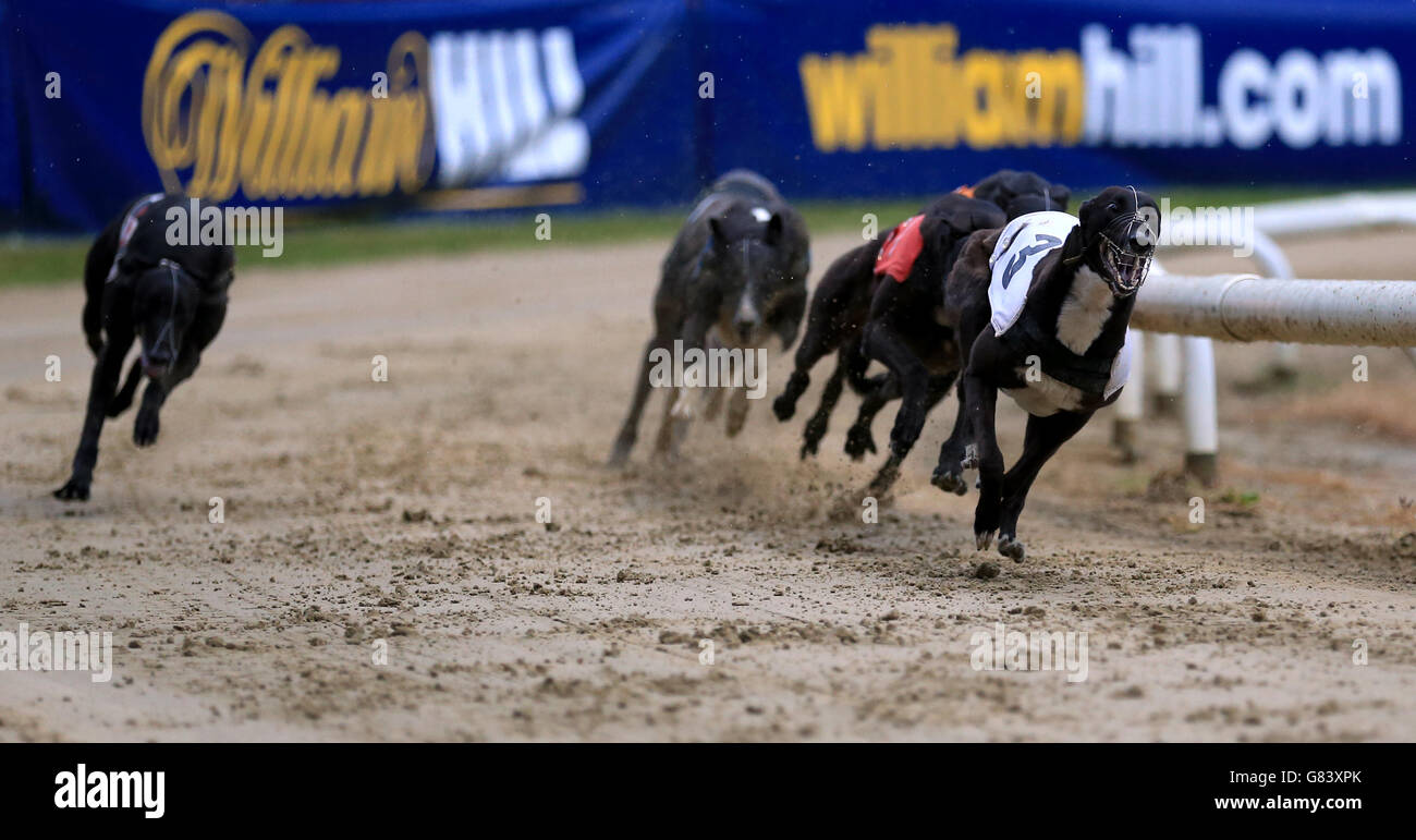 Non legato (a destra) va in vittoria il 18° compleanno di Matthew Classic davanti a Mallogs Jake (dietro) in secondo. Foto Stock