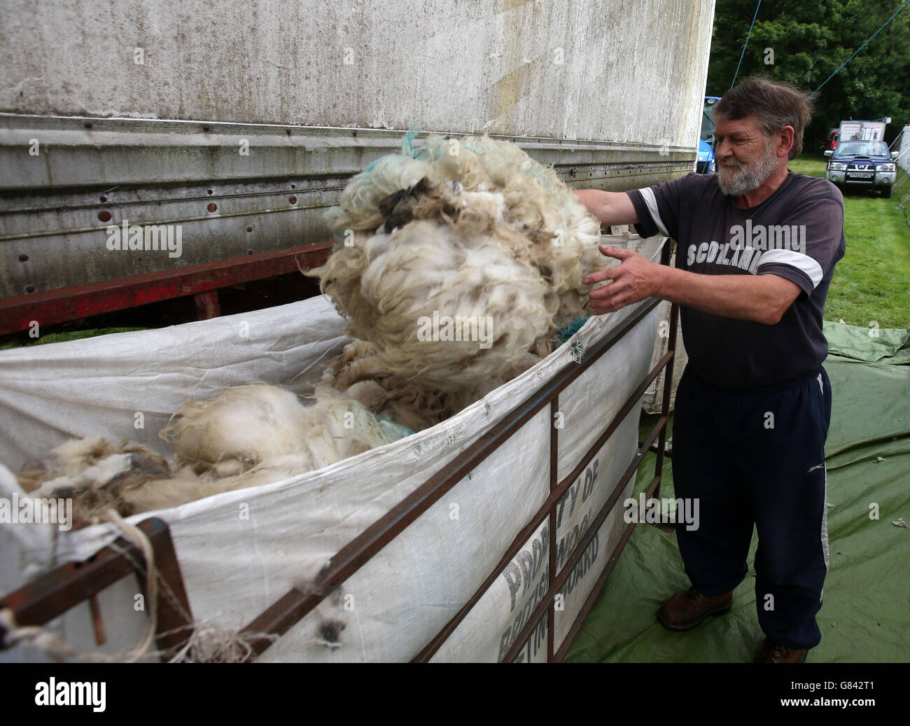 Cesoie a Lochearnhead Foto Stock