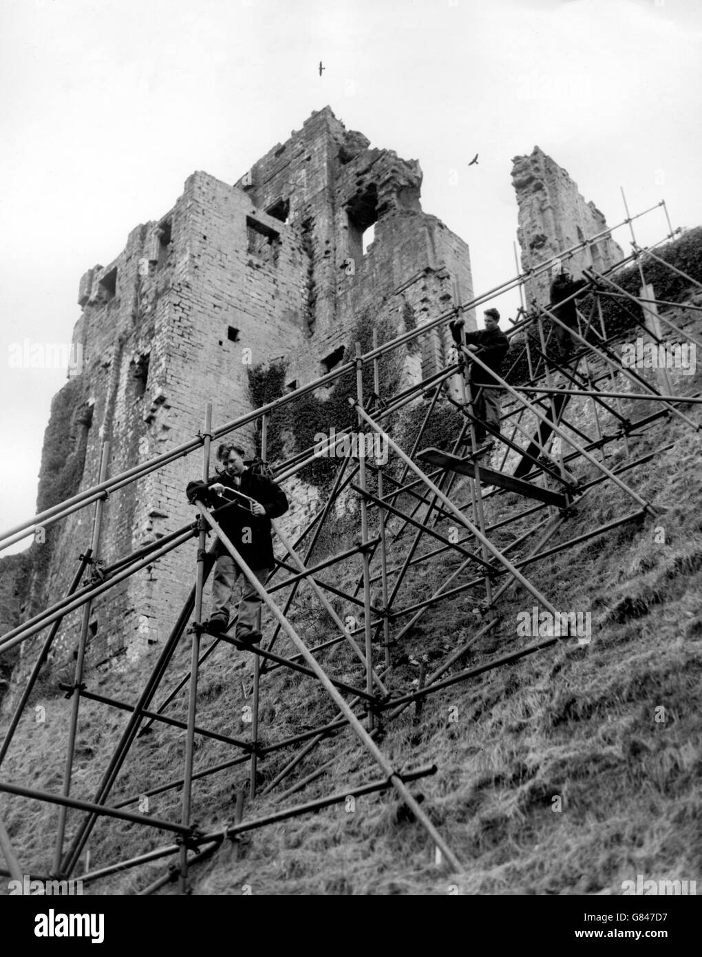 (l-r) Charles Jackson, Pat Cunningham e Barry Poole che erigano una rampa durante i lavori di riparazione preliminari sul castello di Corfe. Foto Stock