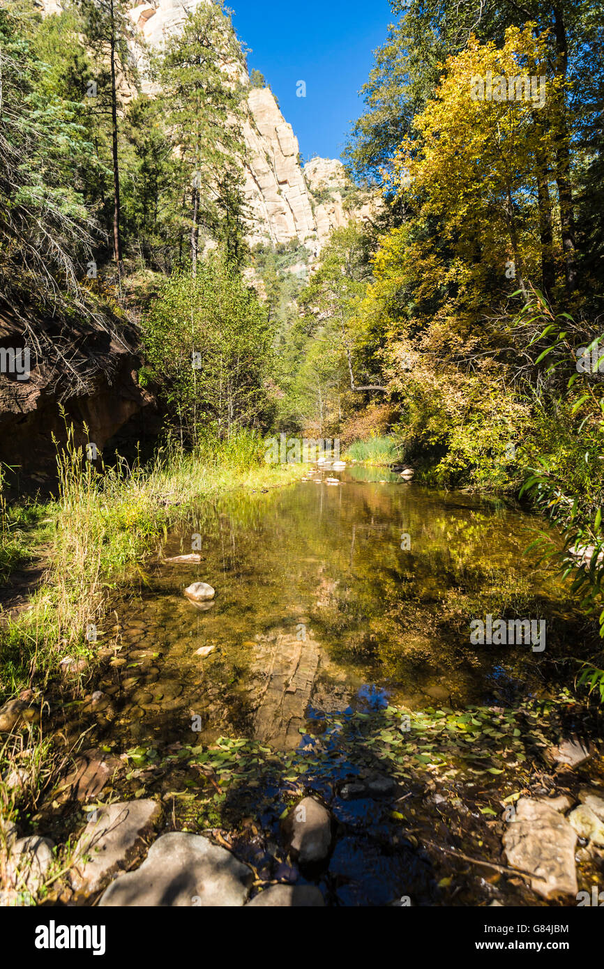 Ramo occidentale di Oak Creek in Sedona, AZ US Foto Stock