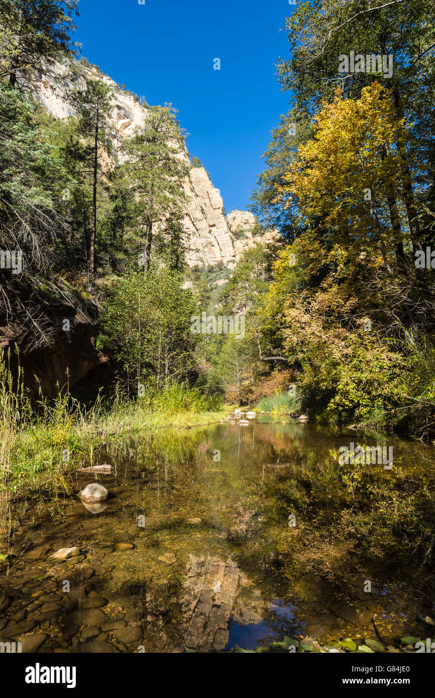 Ramo occidentale di Oak Creek in Sedona, AZ US Foto Stock