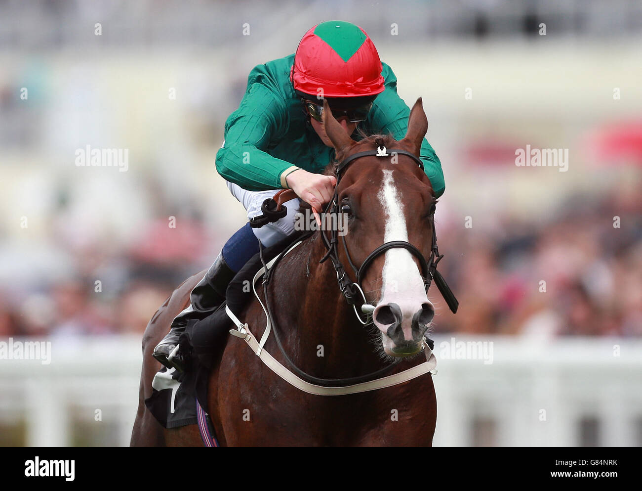 Sesto senso guidato da William Buick sulla loro strada per la vittoria nel Titanic Belfast Winkfield Stakes durante il secondo giorno del King George Weekend all'Ippodromo di Ascot. Foto Stock