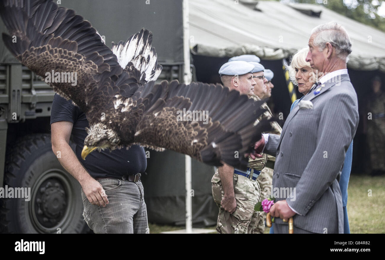 Sandringham flower show Foto Stock