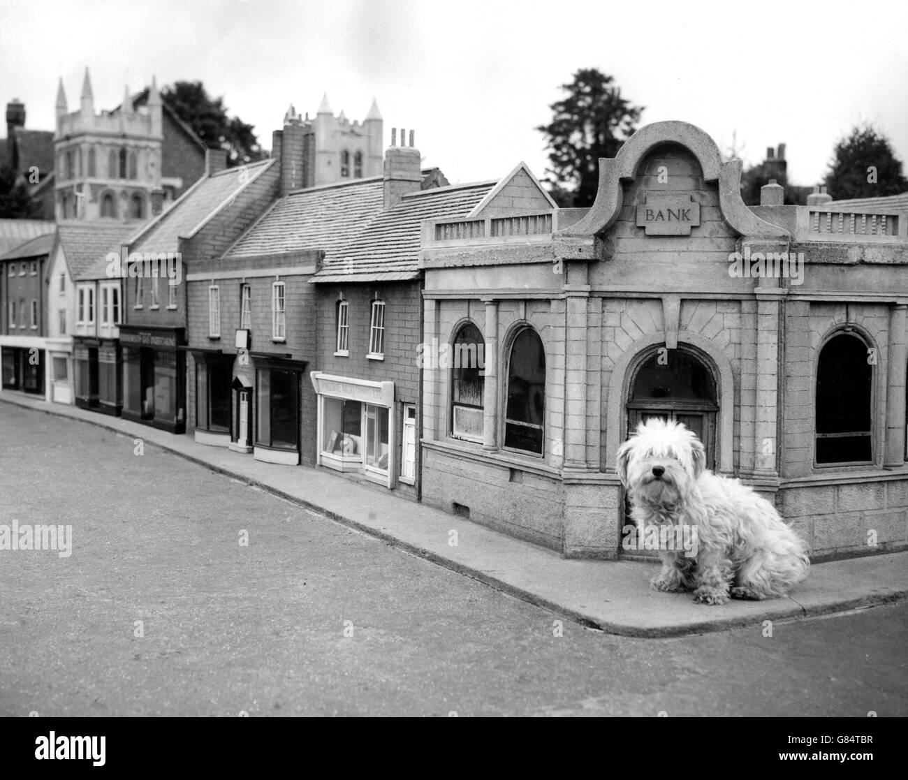 Penny - il cane è a grandezza naturale - di fronte a dettagliate repliche modello di Wimborne Minster, costruito in scala di un decimo, e in mostra vicino al centro della città Dorset. Foto Stock