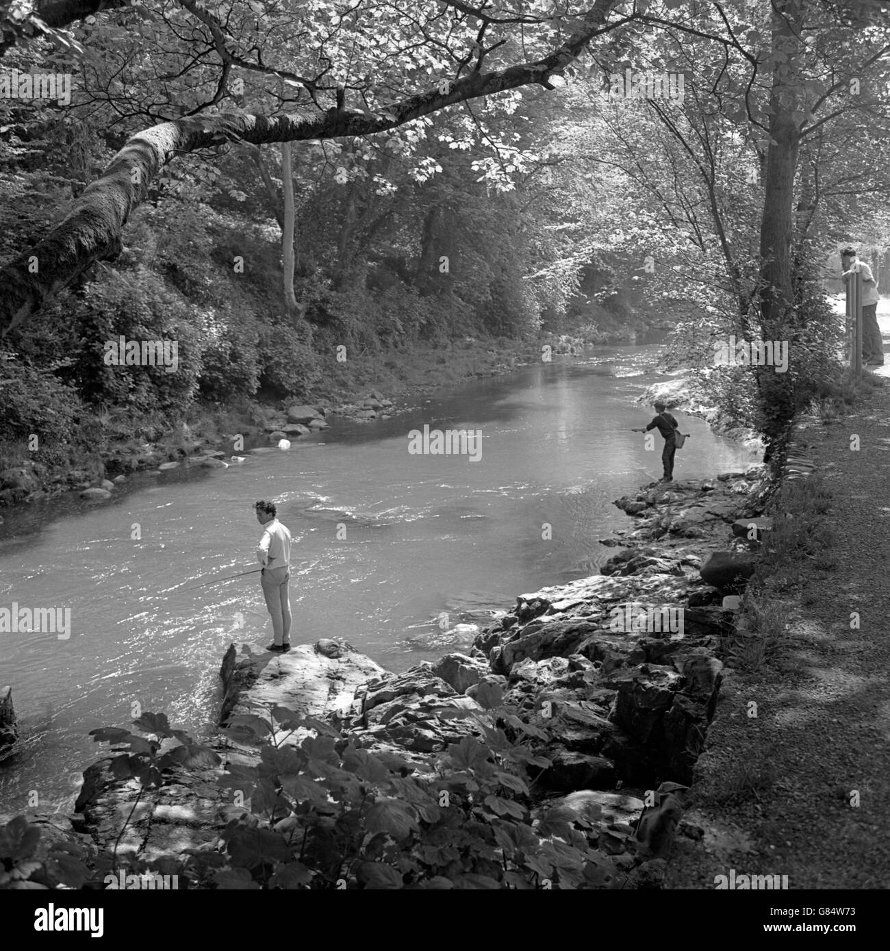 Il fiume Tavy, scivolando da Dartmoor alla sua confluenza con il Tamar, con i pescatori che si godono il rifugio rurale. Si trova alla periferia di Tavistock, una delle antiche città di stannerie del Devon. Foto Stock