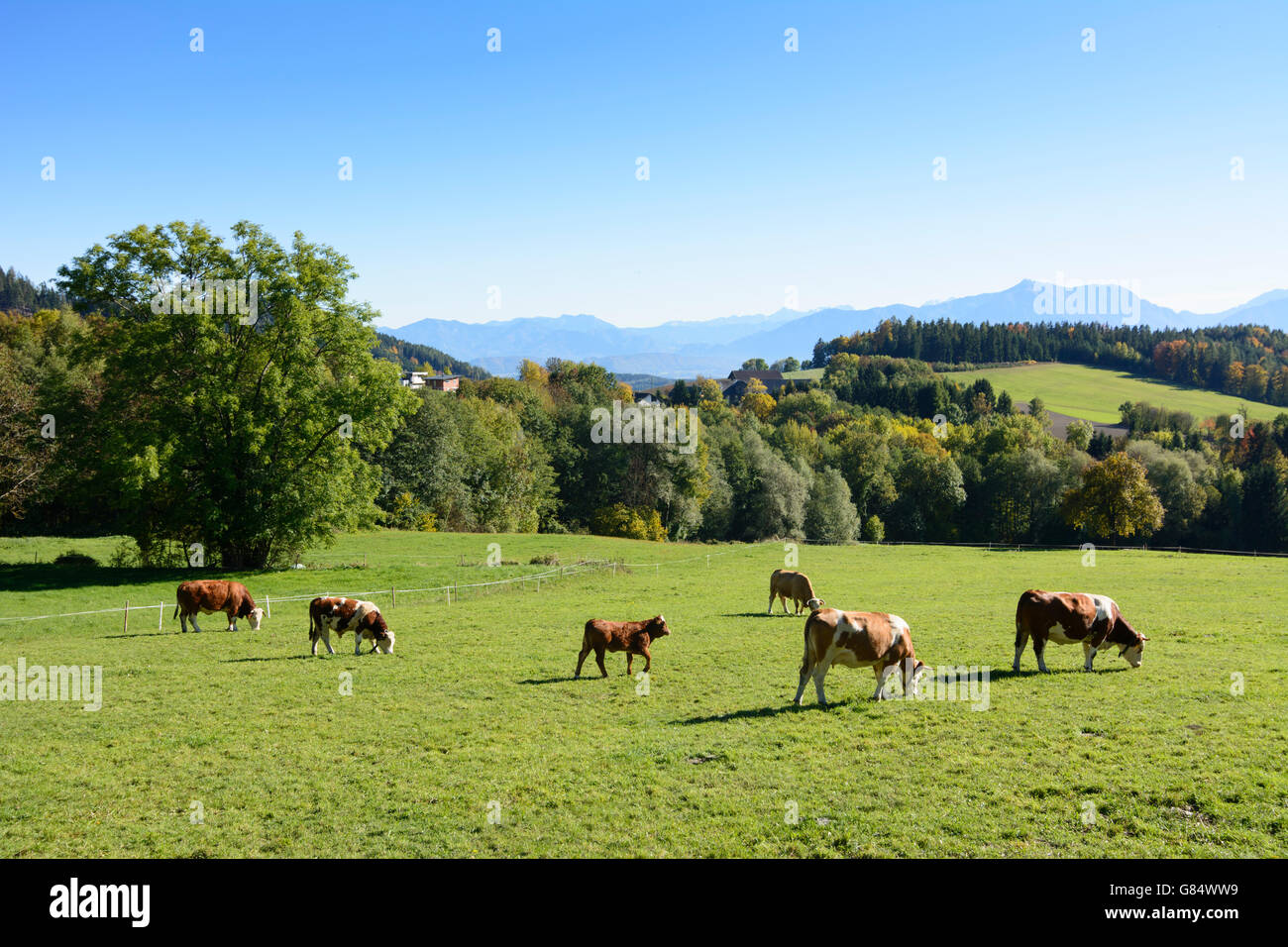 Vista dalle pendici del Magdalensberg sulle Caravanche Magdalensberg, Austria Kärnten, in Carinzia Foto Stock