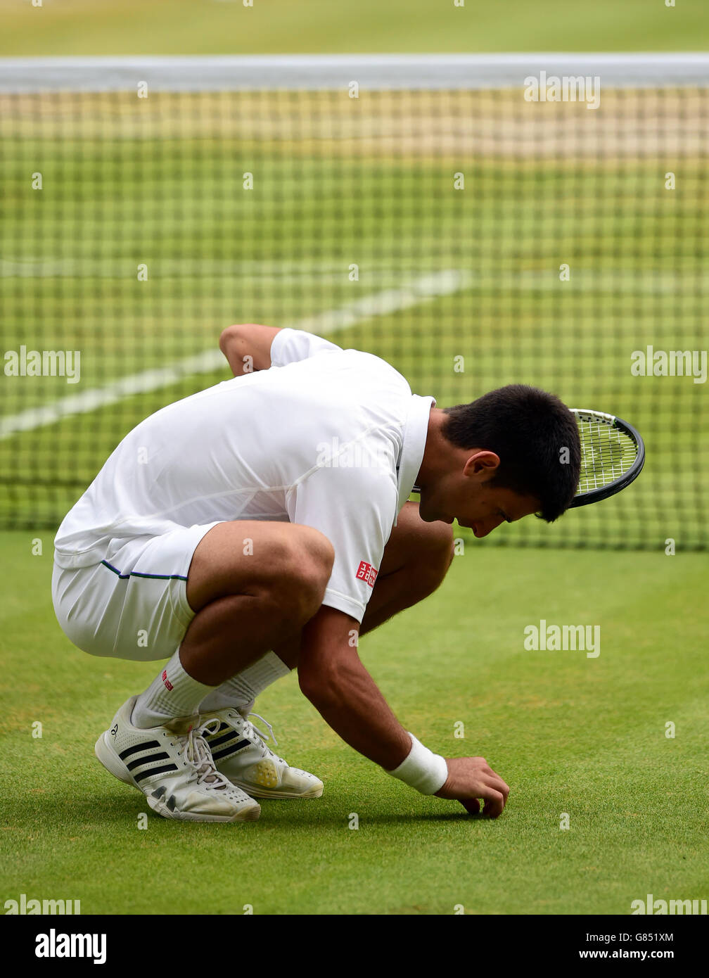 Tennis - 2015 campionati di Wimbledon - Giorno tredici - All England Lawn Tennis e Croquet Club Foto Stock