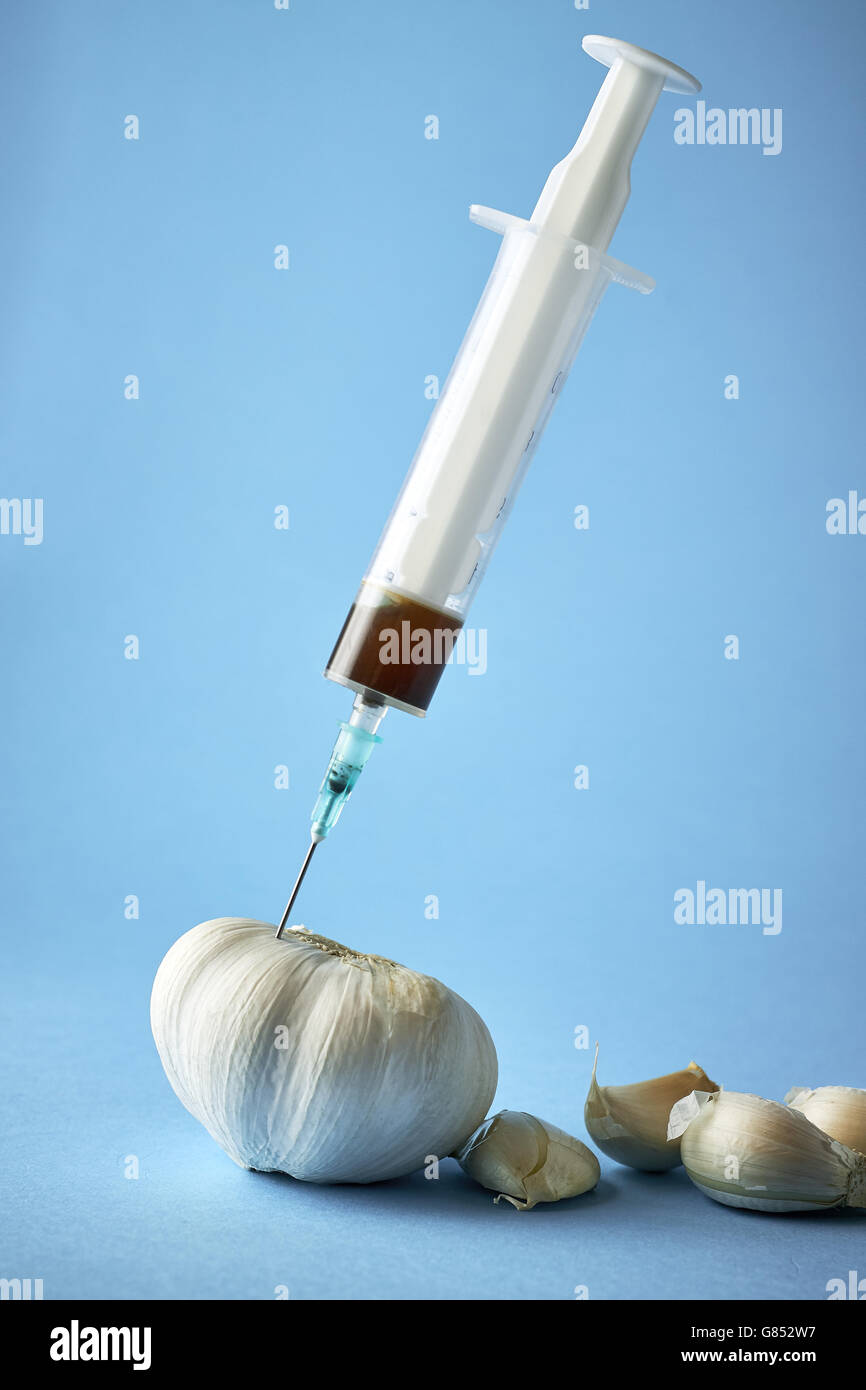 Iniezione con ago in aglio su sfondo blu. Concetto di immagine per geneticamente modificato l'aglio. Spazio di copia Foto Stock