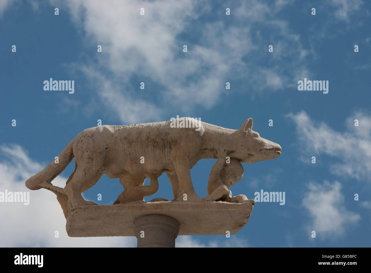 Romolo e remo immagini e fotografie stock ad alta risoluzione - Alamy