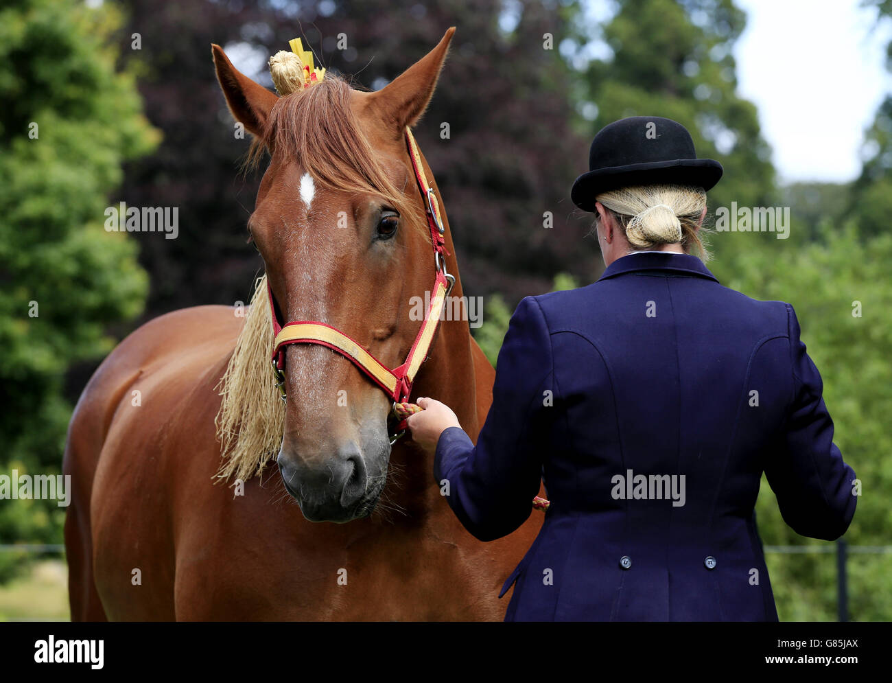 Sandringham flower show Foto Stock