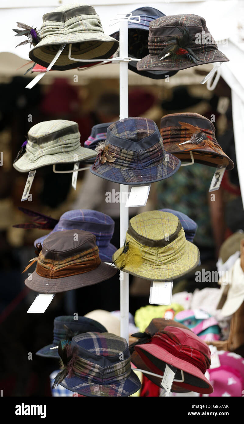 Nigel Farage visiti il CLA Gamefair Foto Stock