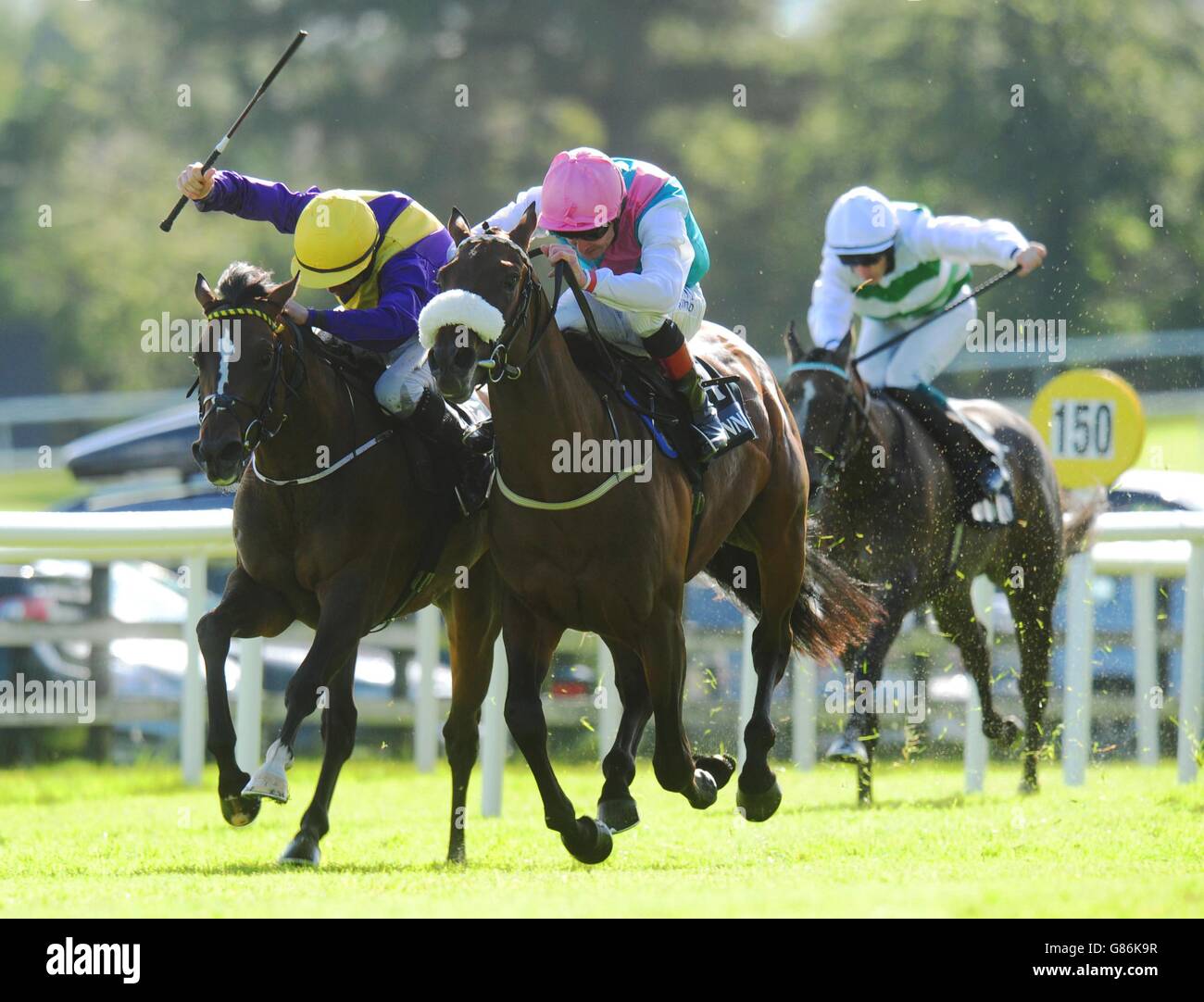 Whiskey Sour guidato da Colm o'Donoghue (a sinistra), continua a vincere la Guinness EBF Median Auction Race durante il quinto giorno del Galway Festival presso l'ippodromo di Galway, Ballybrit. Foto Stock