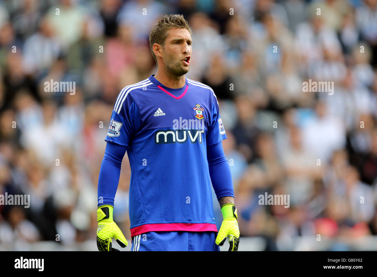 Calcio - Barclays Premier League - Newcastle United v Southampton - St James Park Foto Stock