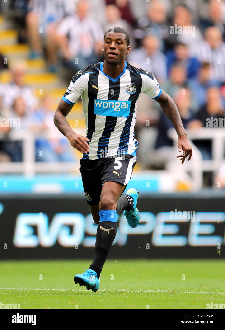 Calcio - Barclays Premier League - Newcastle United v Southampton - St James Park Foto Stock