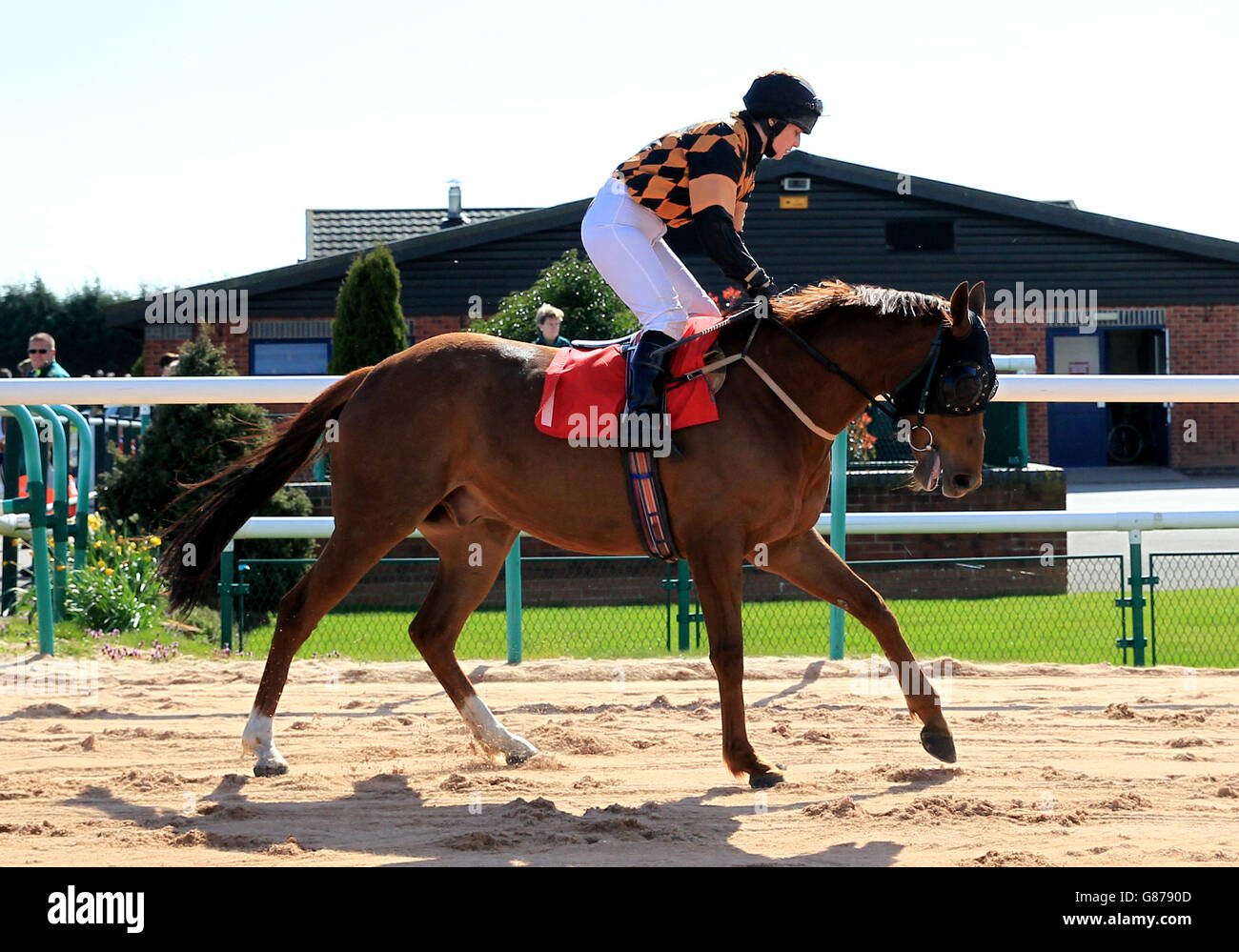 Corse di cavalli - Ippodromo di Southwell. George Fenton di Ann Stokell va al posto Foto Stock