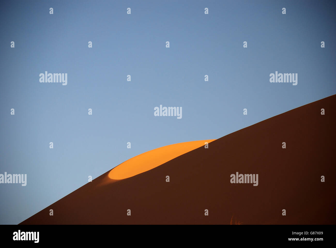 Dune del deserto, Algeria, sabbia, cielo blu, giallo dorato, ombra Foto Stock