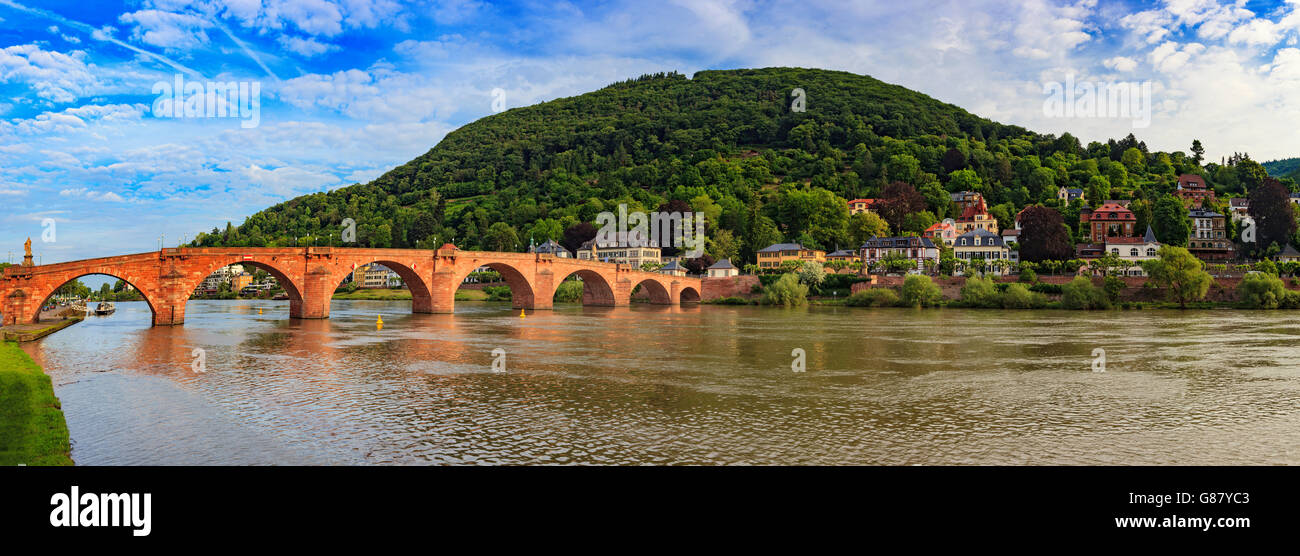 Heidelberg panorama dello skyline della città, Germania Foto Stock