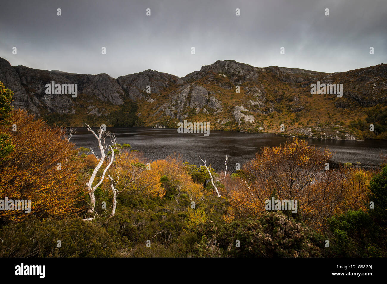 Tea Tree lago, Cradle Mountain, Tasmania, Australia Foto Stock