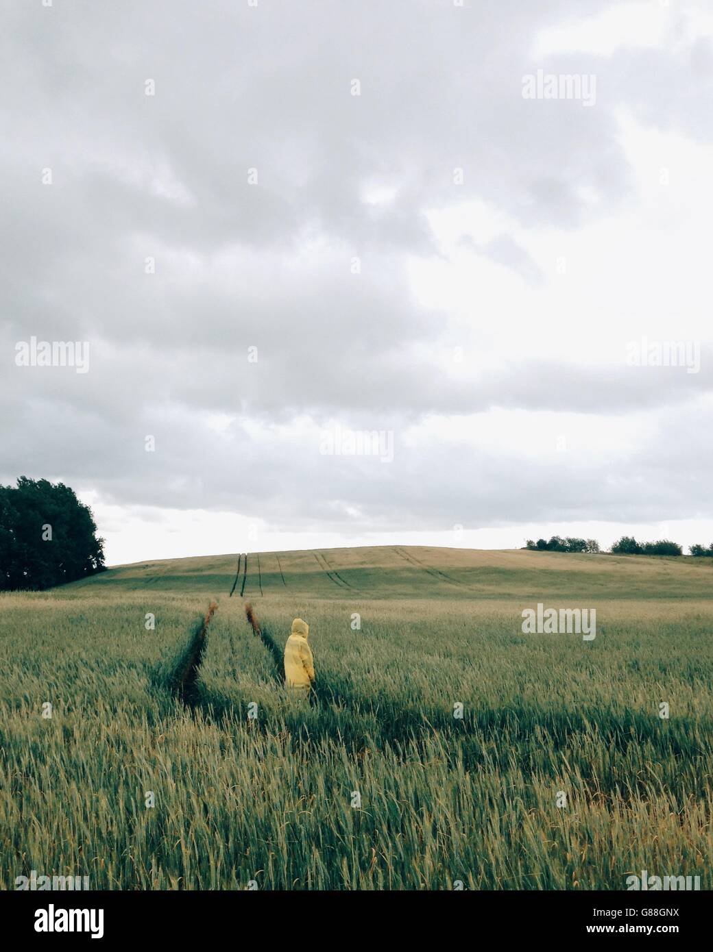 Donna in piedi nel campo di grano Foto Stock