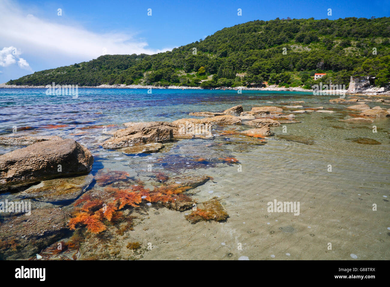 Saplunara sulla spiaggia di isola di Mljet Foto Stock