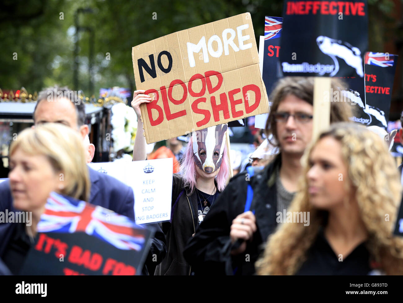 Le persone prendono parte a una marcia di protesta del Team Badger che mima una parata funebre, per celebrare l'uccisione di 2,263 tassi nel 2013/14 dall'ufficio Defra di Smith Square all'Old Palace Yard, Westminster. Foto Stock