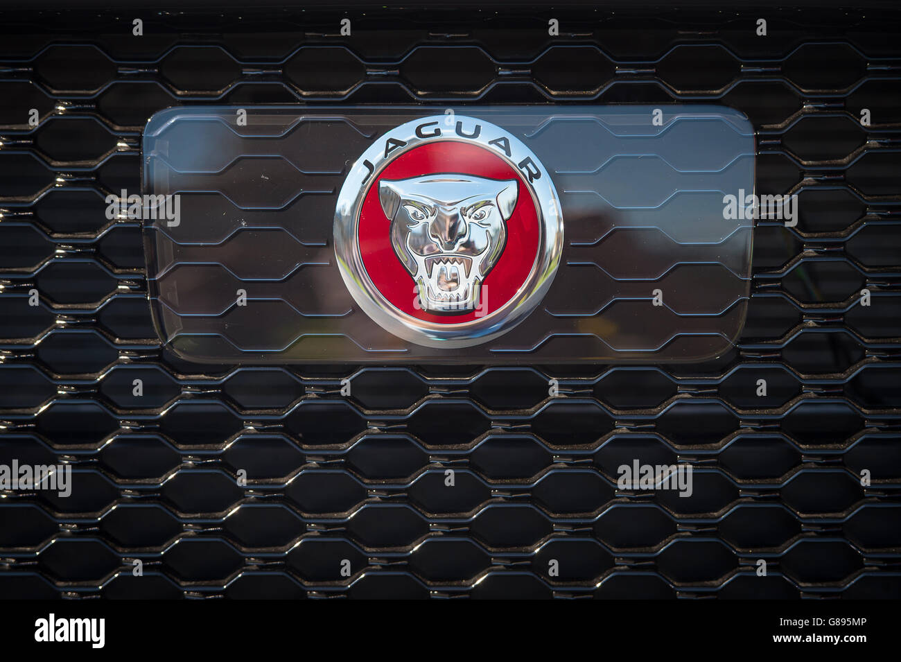 Vista generale del logo Jaguar su una vettura Jaguar XF. Foto Stock