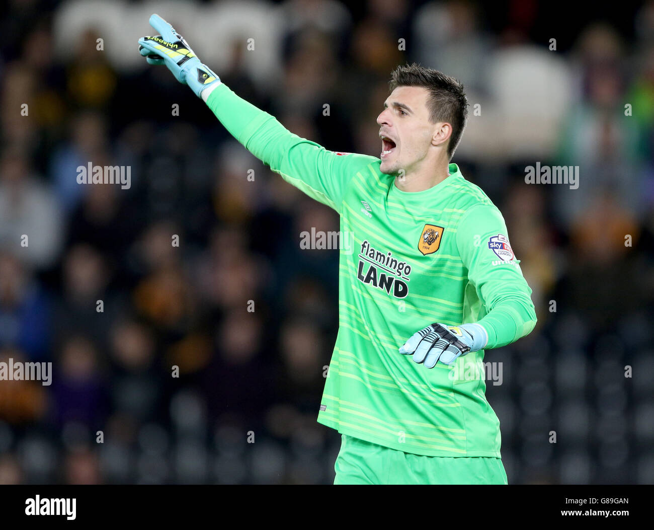 Il portiere di Hull City Eldin Jakupovic durante la Capital One Cup, terza partita allo stadio KC, Hull. Foto Stock