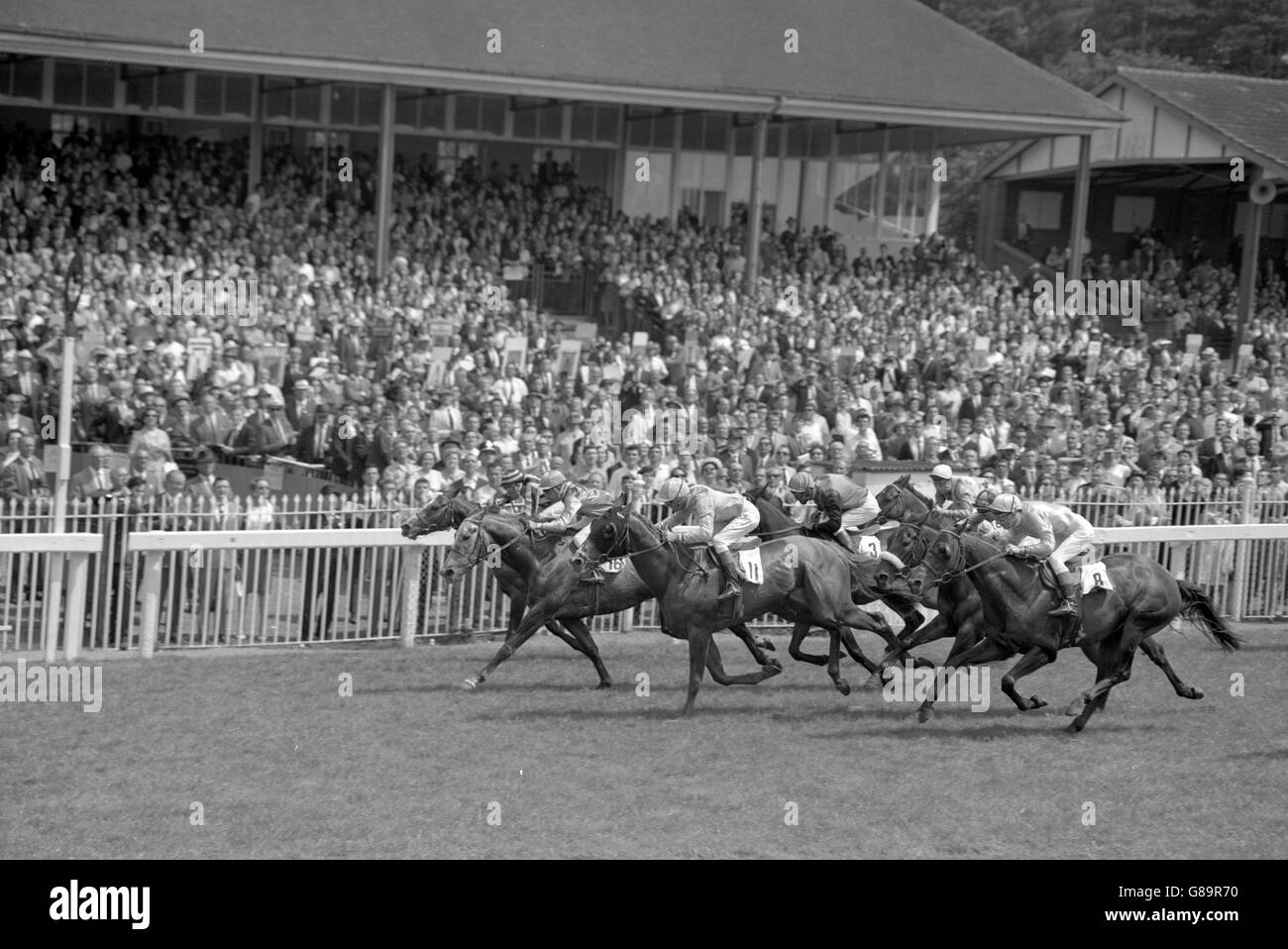 Gray Star, cavalcato da D. Maitland (no 16), vincendo i Wills Olympic Stakes con una testa corta da Roaming Star, cavalcato da A. Breasley, secondo, da un collo da Barrymore, cavalcato da R. Hutchinson, terzo, alle gare del Lingfield Park. Foto Stock