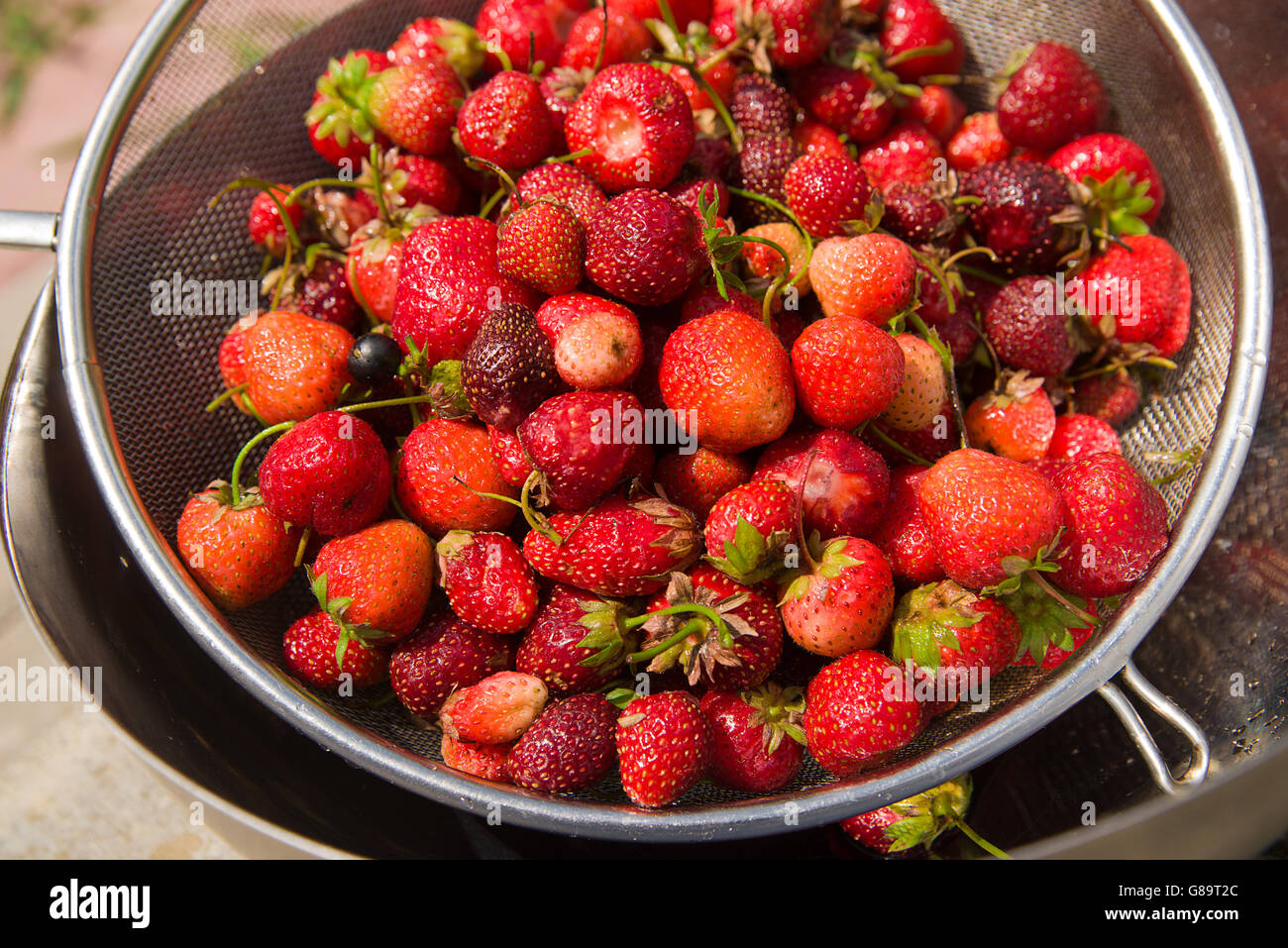 Recipiente di metallo con fragole è sul pavimento Foto Stock