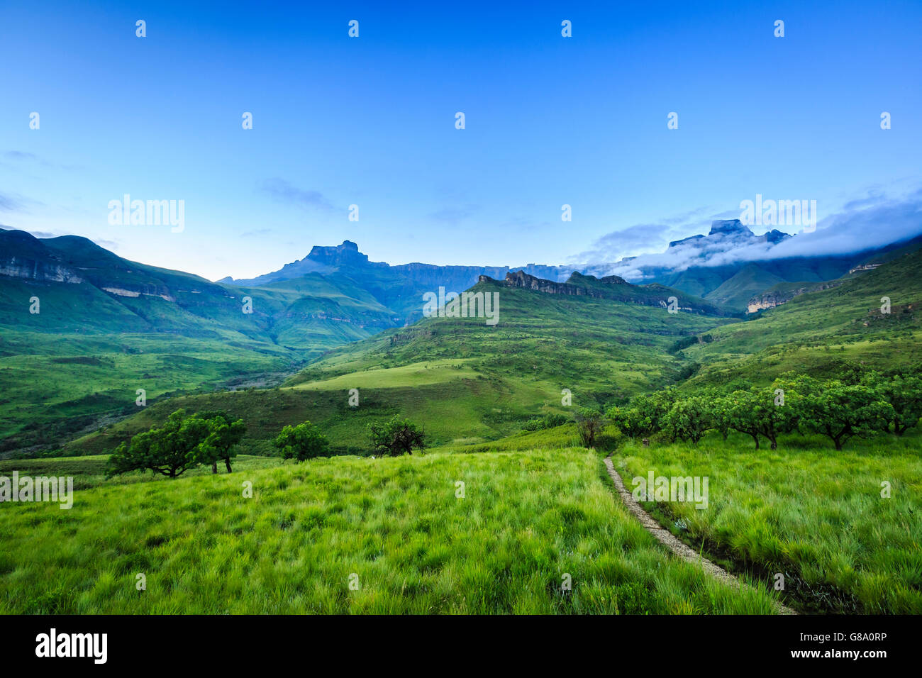Sentiero escursionistico, anfiteatro in background, Royal Natal National Park, Drakensberg, Kwazulu Natal, Sud Africa Foto Stock