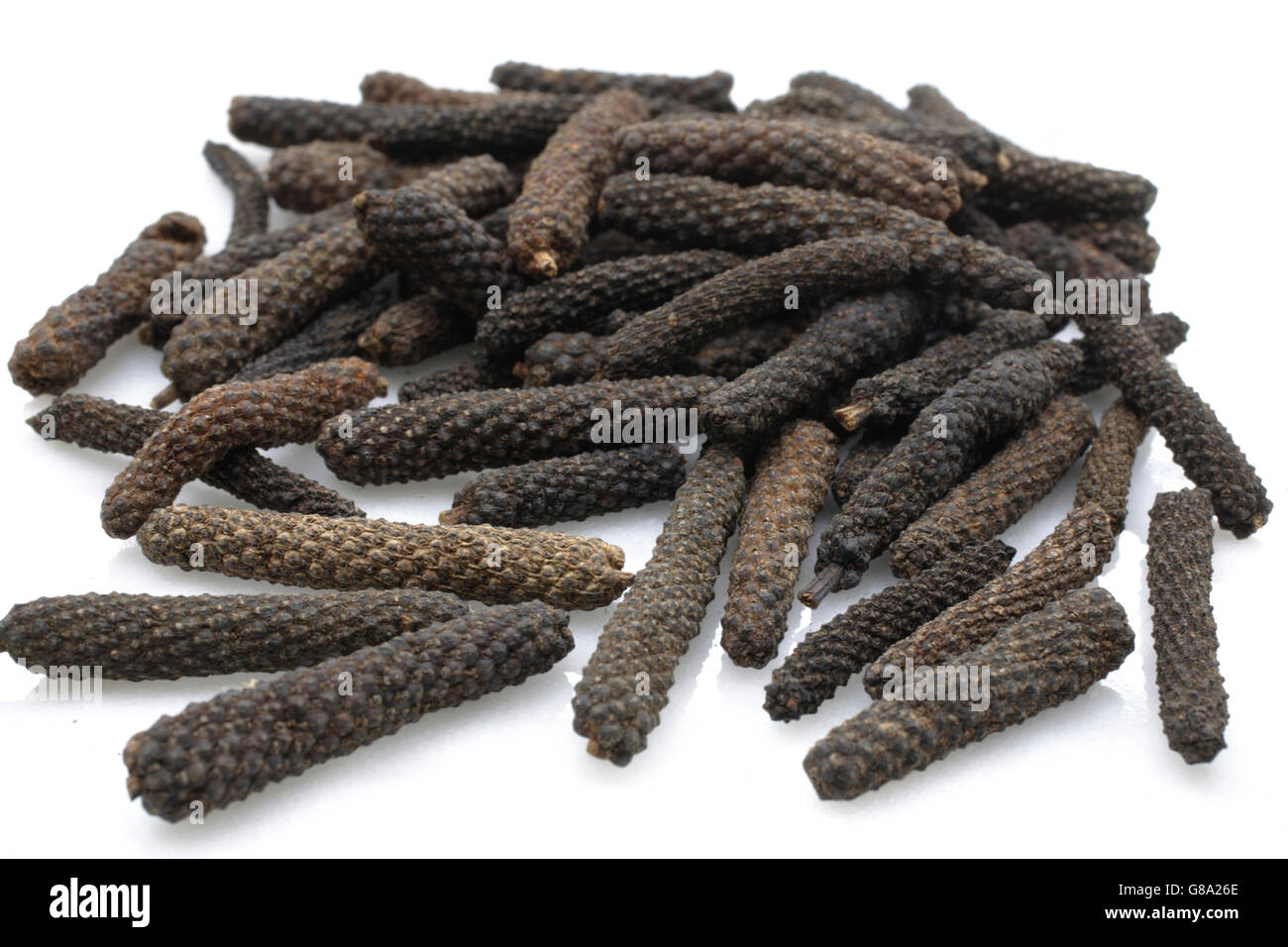 Specialità di pepe, pepe lungo da Bengala, India Foto Stock