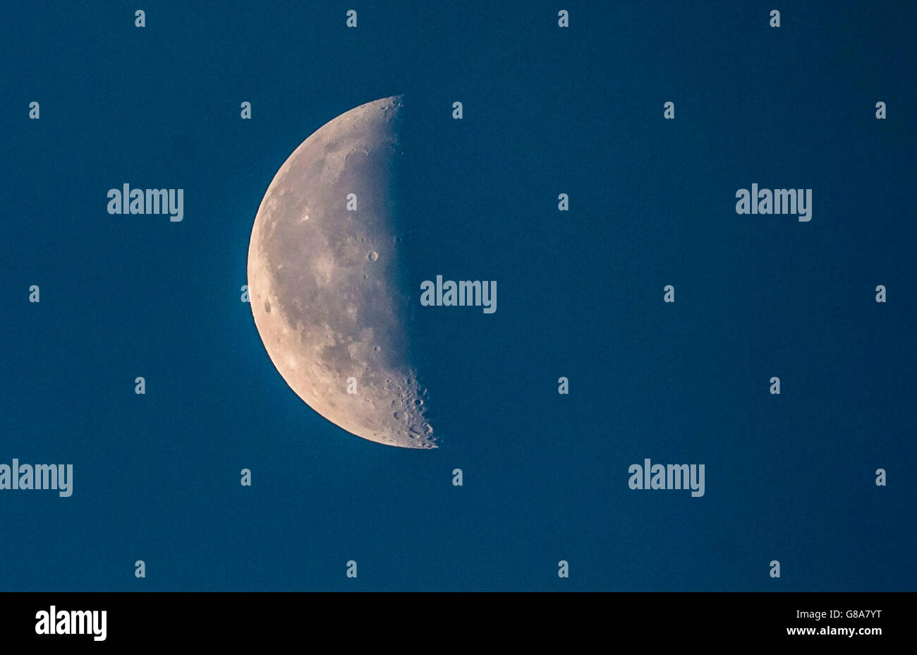 La luna oltre la RSPB riserva naturale a Bempton Cliffs nello Yorkshire, come oltre 250.000 uccelli marini gregge a Chalk cliffs per trovare un compagno e allevare i loro piccoli. Foto Stock