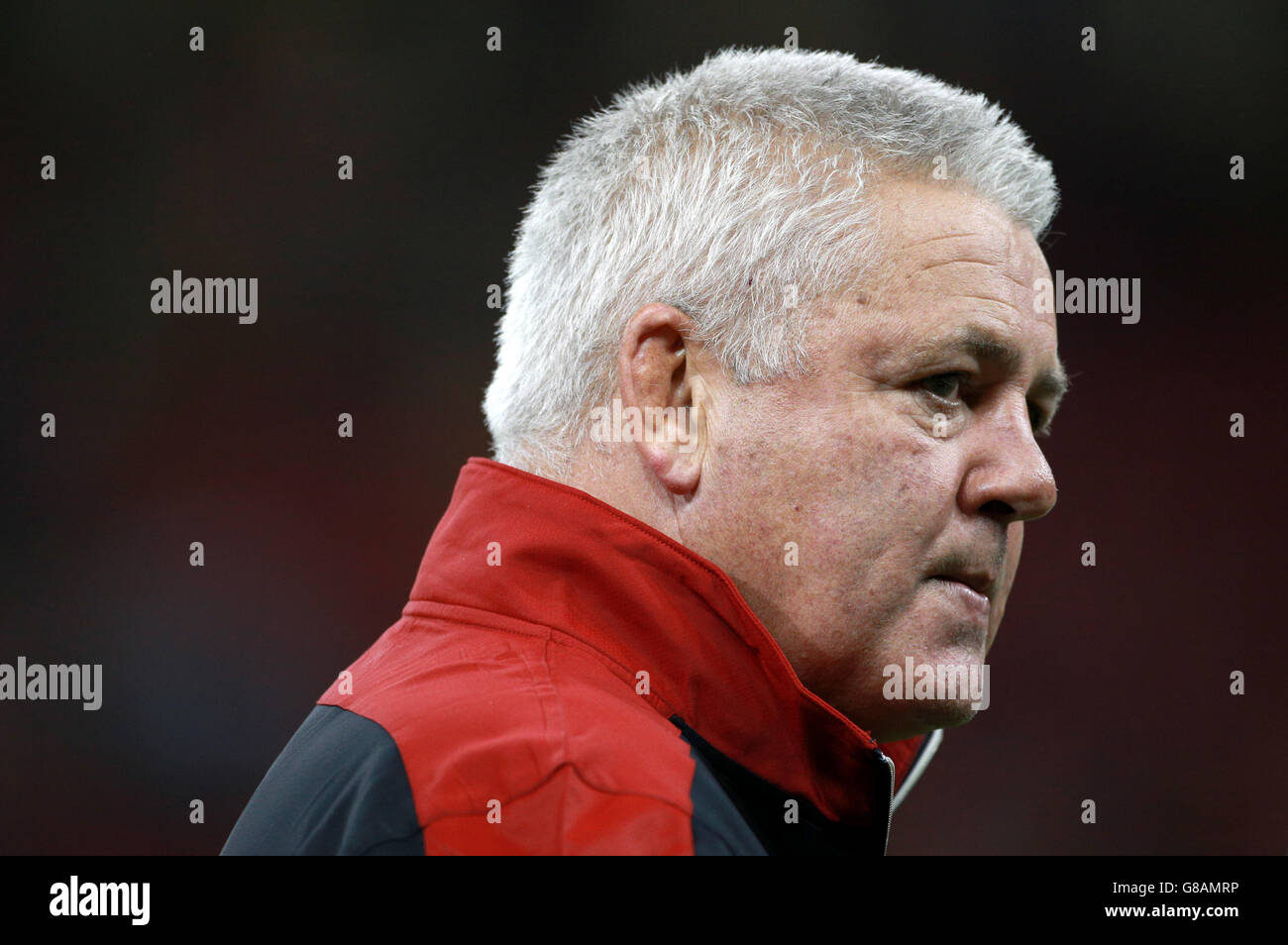 Il capo allenatore del Galles Warren Gatland durante la partita della Coppa del mondo di rugby al Millennium Stadium di Cardiff. PREMERE ASSOCIAZIONE foto. Data foto: Giovedì 1 ottobre 2013. Vedi la storia della Pennsylvania RUGBYU Wales. Il credito fotografico deve essere: David Davies/PA Wire. Foto Stock