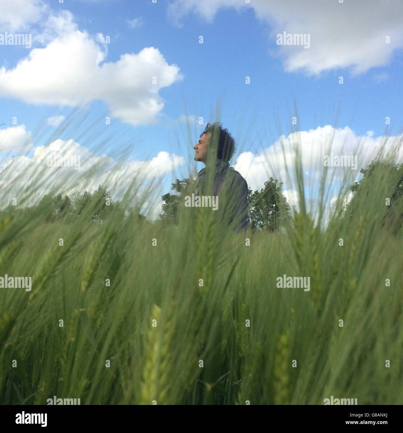 Uomo in piedi nel campo di segale, Niort, Francia Foto Stock