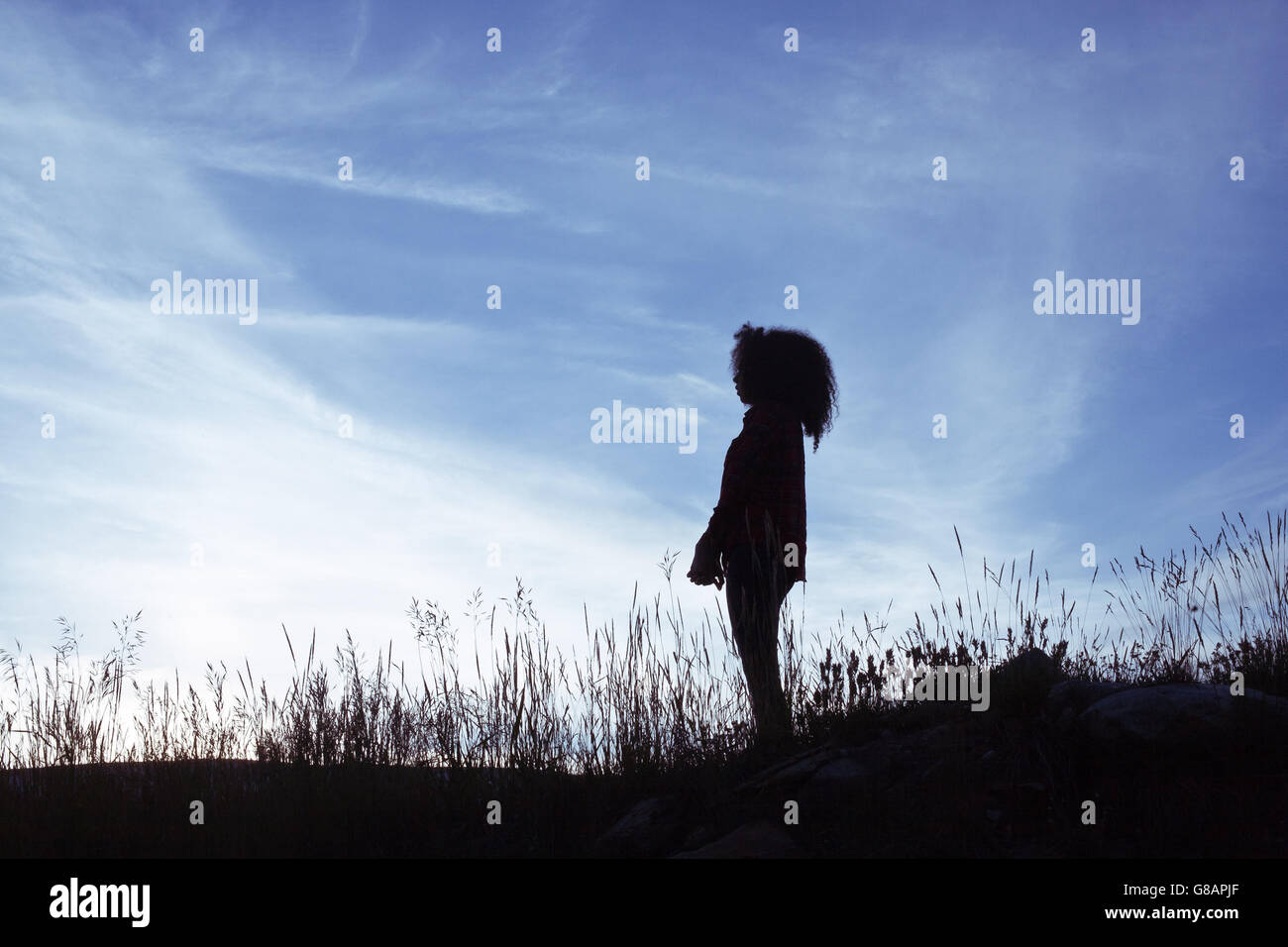 Silhouette di donna in piedi nella scena rurale, Wyoming, Stati Uniti Foto Stock