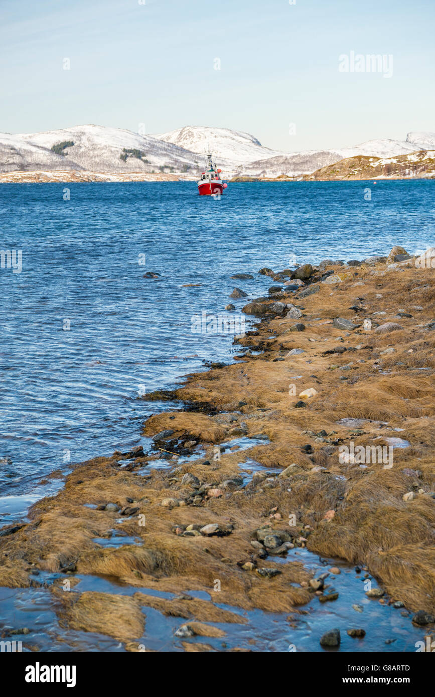 Barca da pesca, isola Kvaloya, Norvegia Foto Stock