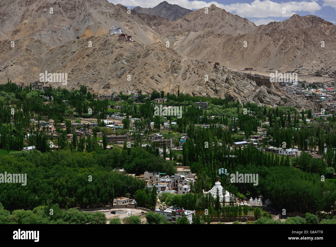 Leh con Tsemo Fort e Tsemo Gompa, Ladakh, Jammu e Kaschmir, India Foto Stock
