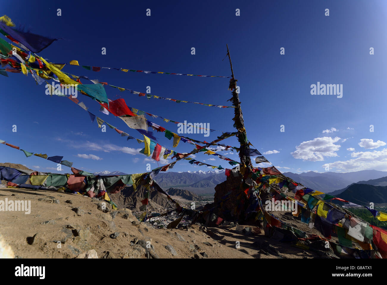 Bandiere di preghiera a Tsemo Gompa, Leh, Ladakh, Jammu e Kaschmir, India Foto Stock
