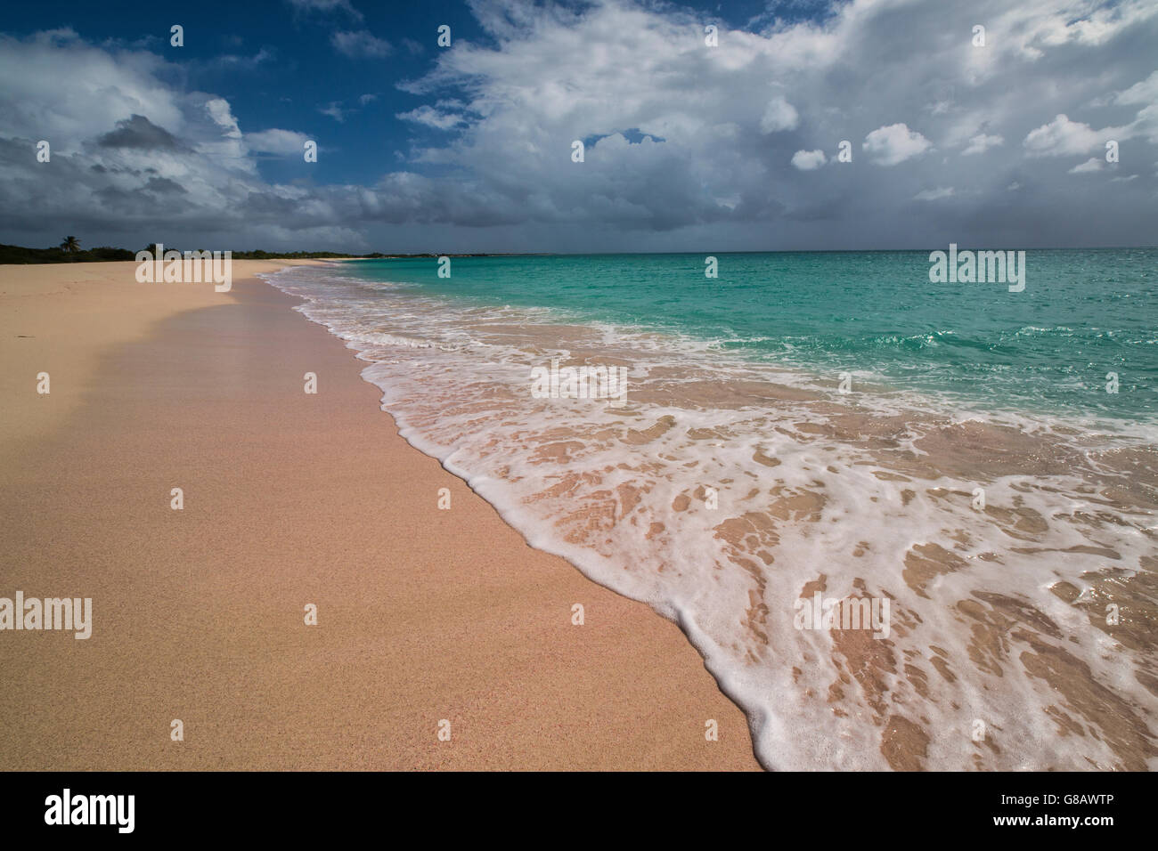 Onde del mare dei Caraibi di sabbia rosa Beach Antigua e Barbuda Leeward Islands West Indies Foto Stock