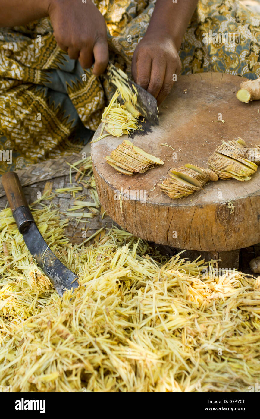 Asia, Myanmar, Taunggyi, Lago Inle, elaborazione di zenzero Foto Stock