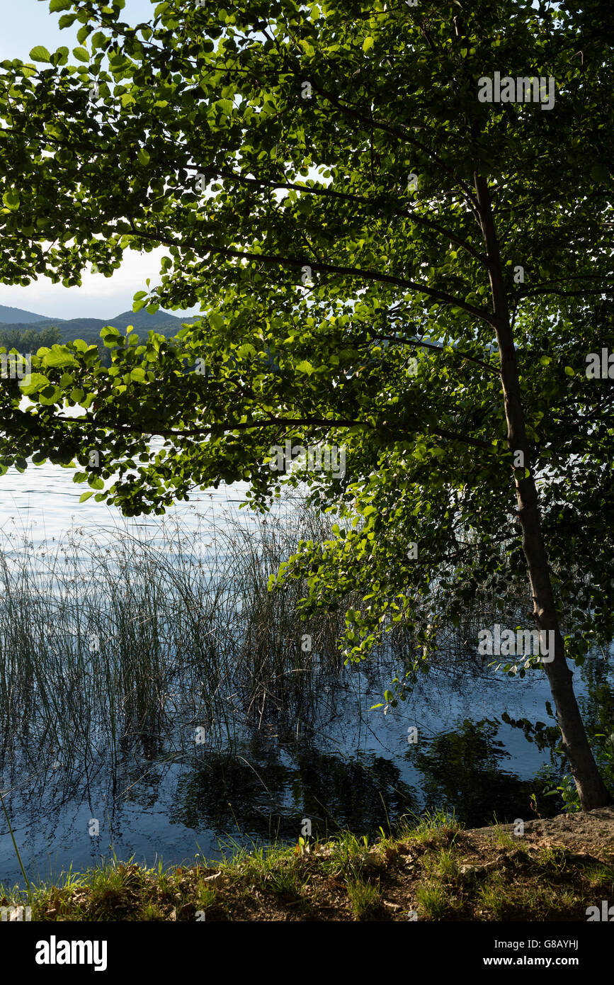 Estany de Banyoles, Pla de l'Estany, Girona, Catalunya Catalonia Foto Stock