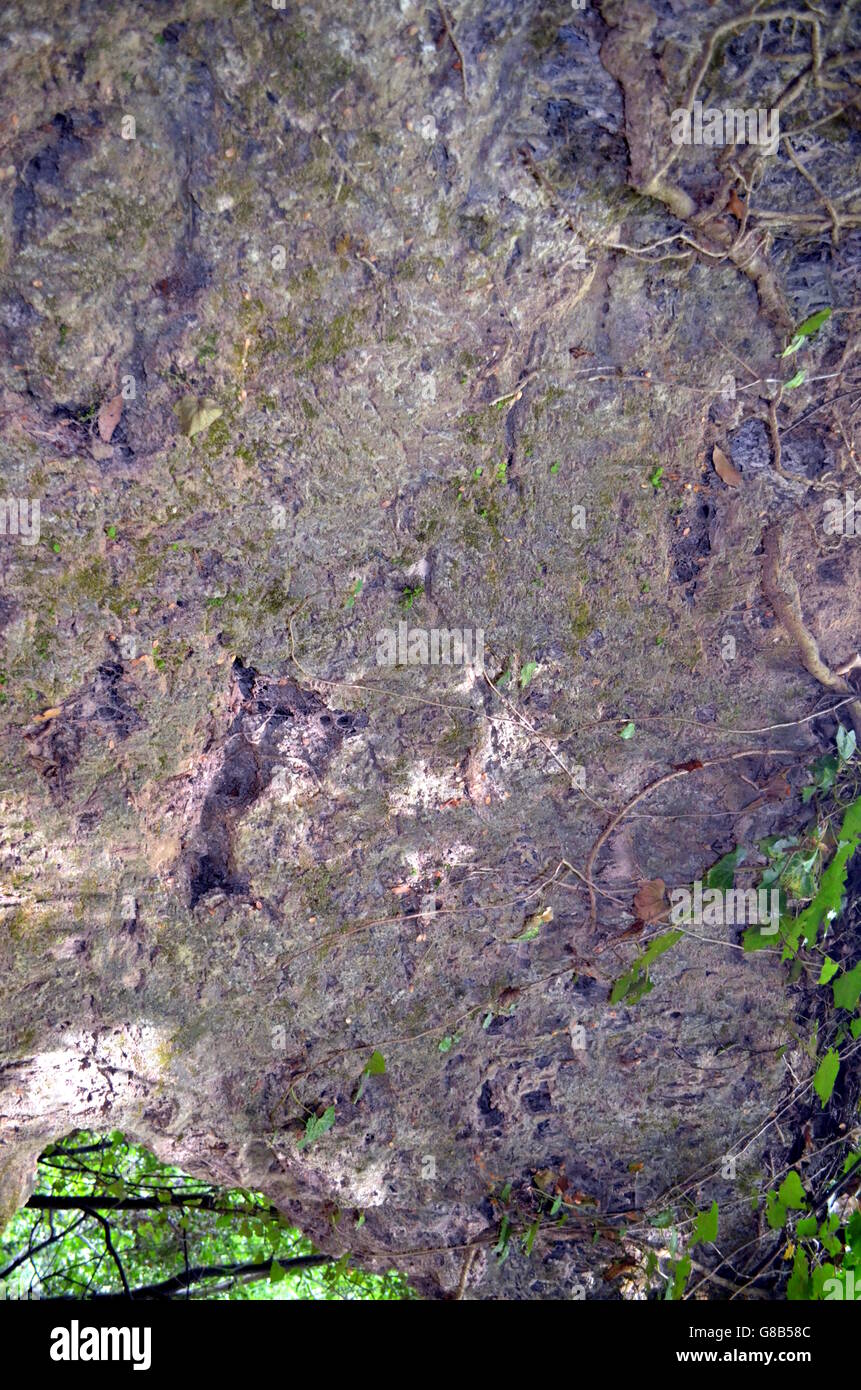 Stone Texture di sfondo di roccia Foto Stock