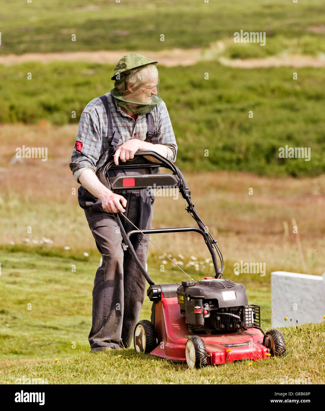 Uomo che indossa un capo net durante il taglio dell'erba in chiesa Strandakirkja, penisola di Reykjanes, Islanda Foto Stock