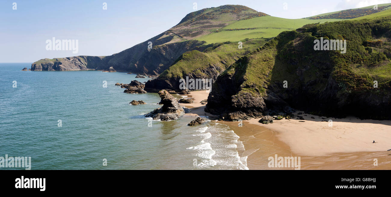 Regno Unito, Galles Ceredigion, Llangrannog, spiaggia con la bassa marea e costa a Ynys Lochtyn, panoramica Foto Stock