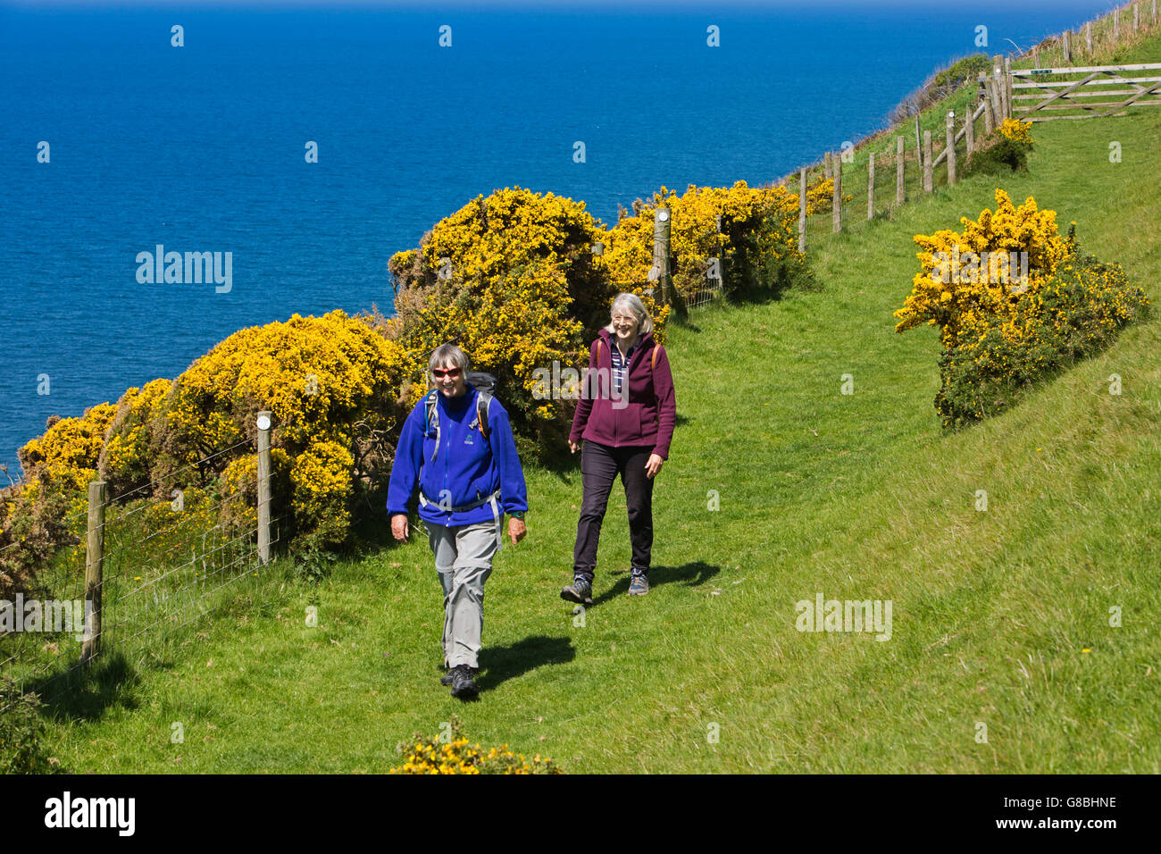 Regno Unito, Galles Ceredigion, Llangrannog, Lochtyn, due escursionisti femmina sulla costa percorso sopra Cilborth beach Foto Stock