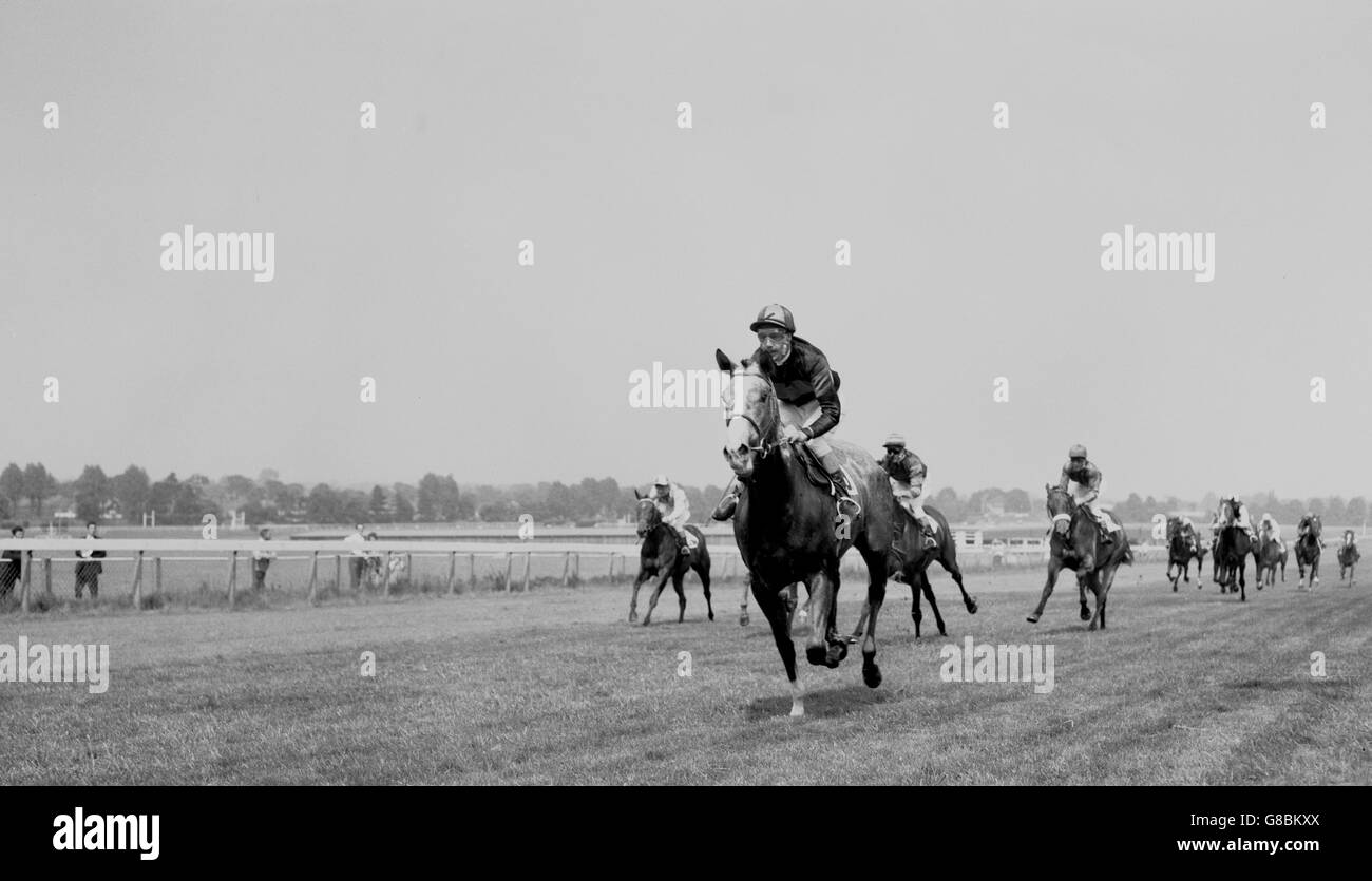 Horse Racing - Giugno Fillies' piastra - Sandown Park Racecourse Foto Stock