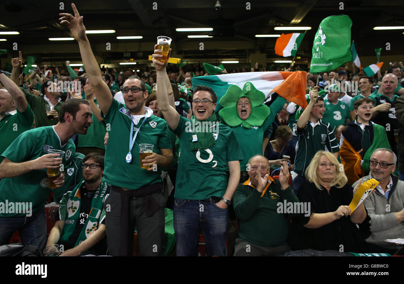 I tifosi irlandesi mostrano il loro sostegno negli stand durante la partita della Coppa del mondo di Rugby al Millennium Stadium di Cardiff. Foto Stock