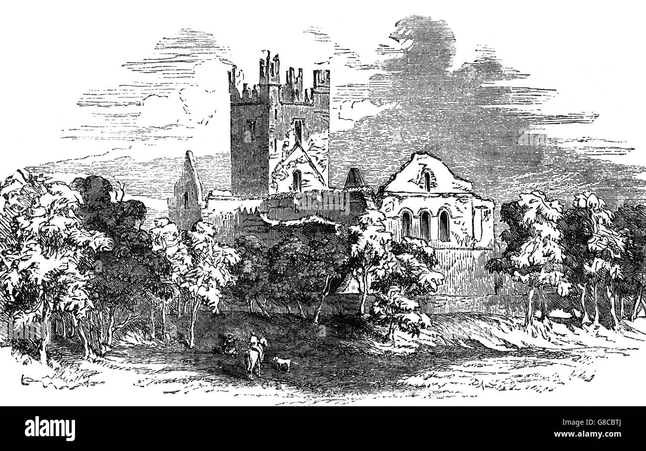 Dunbrody Abbey, un ex monastero cistercense. L a forma di croce la chiesa fu costruita nel XIII secolo e la torre fu aggiunto nel secolo XV, County Wexford, Irlanda Foto Stock